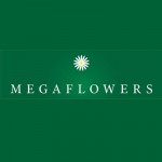   - Megaflowers